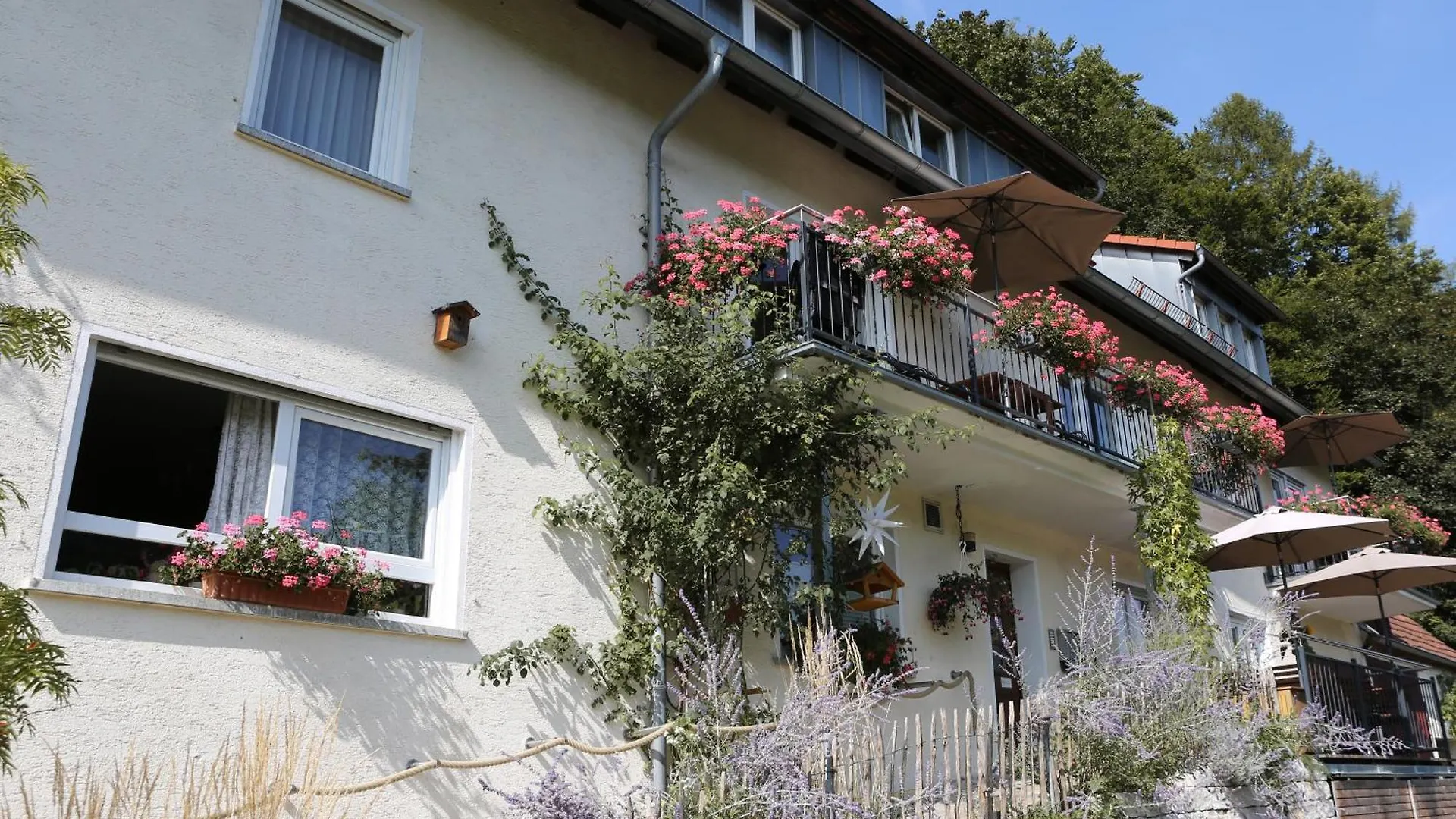 Ferienwohnungen Porisch Egloffstein Apartment
